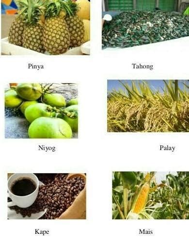 produkto sa cavite|Must.